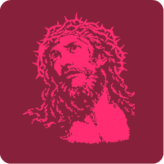ȸƼ131